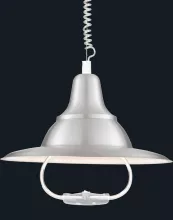 Подвесной светильник Arte Lamp  A3638SP-1SS купить с доставкой по России