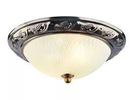 Потолочный светильник Arte Lamp 28 A3019PL-2AB купить с доставкой по России