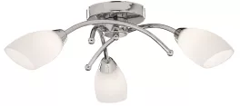 Потолочный светильник Arte Lamp  A8186PL-3CC купить с доставкой по России