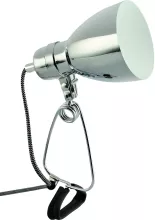 Офисная настольная лампа Arte Lamp Dorm A1409LT-1CC купить с доставкой по России