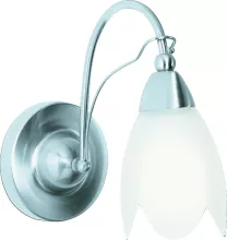 Бра Arte Lamp  A4905AP-1SS купить с доставкой по России