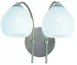 Бра Arte Lamp  A8289AP-2SS купить с доставкой по России