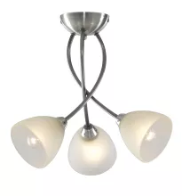 Потолочный светильник Arte Lamp  A2576PL-3SS купить с доставкой по России