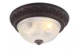 Потолочный светильник Arte Lamp Piatti A8006PL-2CK купить с доставкой по России