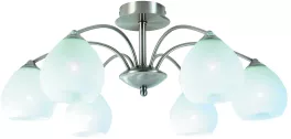 Потолочный светильник Arte Lamp  A8289PL-6SS купить с доставкой по России