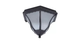 Потолочный светильник Arte Lamp  A1826PF-2BK купить с доставкой по России