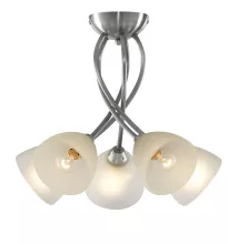 Люстра Arte Lamp  A2576PL-5SS купить с доставкой по России