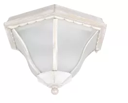 Потолочный светильник Arte Lamp  A1826PF-2WG купить с доставкой по России