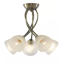 Потолочная люстра Arte Lamp Nikki A2576PL-5AB купить с доставкой по России