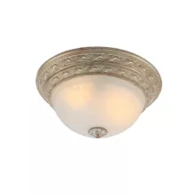 Потолочный светильник Arte Lamp Piatti A8013PL-2WA купить с доставкой по России